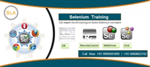 Upgrade Your Skill with The Best Selenium Training Course in